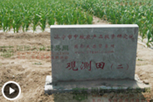 大蒜觀測(cè)田苗情長(zhǎng)勢(shì)監(jiān)測(cè)—3月17日 (1759播放)
