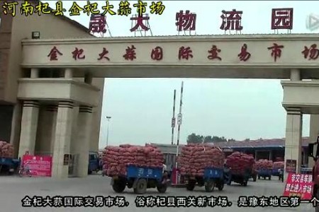 15年大蒜收購?fù)緦?shí)錄1—記杞縣金杞大蒜市場 (2204播放)