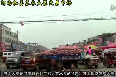 2015年大蒜收購?fù)緦?shí)錄2——記河南杞縣蘇木大蒜市場 (2235播放)