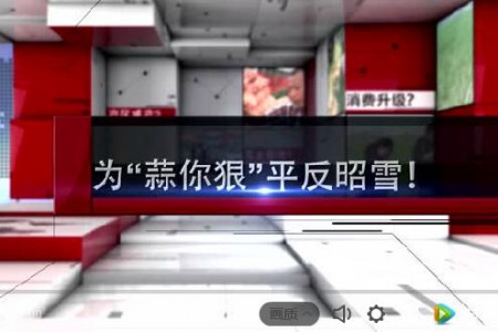 為“蒜你狠”平反昭雪！ ()