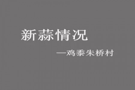 新蒜一線—“老石說市”第二期 (2806播放)