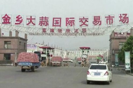 “安靜”的新蒜收儲—“老石說市”第三期 (2830播放)
