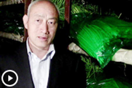 業(yè)內(nèi)人士淺談2015冷庫(kù)蒜薹—“老石說(shuō)市”第十二期 (2909播放)