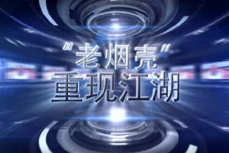 老煙殼重現(xiàn)江湖——縱論大勢，撥開2016大蒜迷霧 (4108播放)
