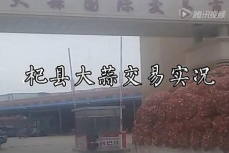 河南杞縣大蒜交易實況　【拍客：杞縣輝哥】 (1654播放)