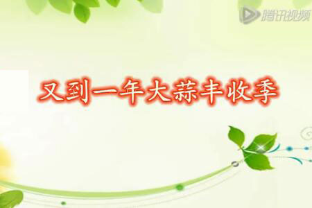 通許：又到一年大蒜豐收季　【拍客：通許王雙意】 (2446播放)