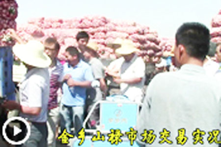 今有大蒜 賣于山祿 質(zhì)優(yōu)價(jià)廉 望君采購　【拍客：金鄉(xiāng)正道蒜業(yè)】 (3957播放)