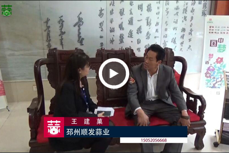 2016大蒜行業(yè)十佳人氣經(jīng)紀(jì)人——王建菓 (4435播放)