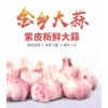 本人大量供應(yīng)紫皮混級大蒜，金鄉(xiāng)周邊菏澤大蒜產(chǎn)地供應(yīng)