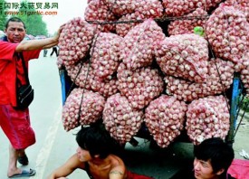菏澤蒜農(nóng)：賣不賣，都頭疼 ()