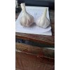 長(zhǎng)期供應(yīng)蒼山四六辦，脫水蒜，紅皮蒜