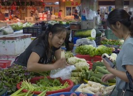 蔬菜價格再次進(jìn)入下行通道 ()