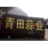 常年出口加工大蒜、洋蔥