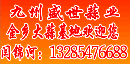 常年代收代銷代存大蒜、蒜苔，并提供冷庫出租