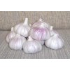 大量供應(yīng)金鄉(xiāng)優(yōu)質(zhì)大蒜 代理加工發(fā)貨