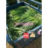 蒜薹，大蒜