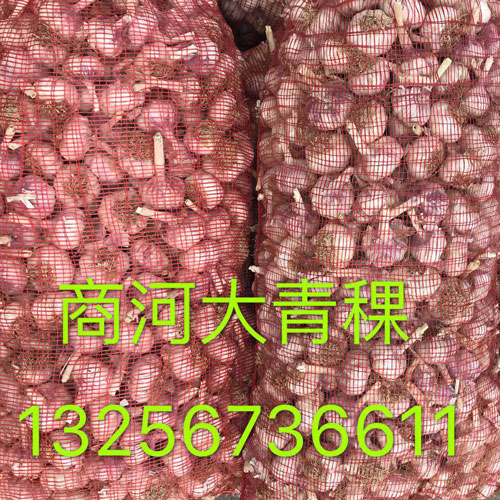 QQ圖片20180614105753