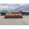 彭州大蒜優(yōu)質(zhì)蒜種基地