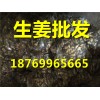 生姜，大姜，小姜，大量供應(yīng)