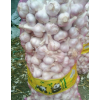 大量供應(yīng)蒼山四六瓣大蒜，紅皮川蒜，射陽蒜