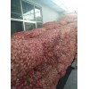 出售《冷庫(kù)蒼山46瓣》15969732225