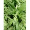 保健蔬菜 非洲冰菜種子冰草種子，冰花種子，冰葉日中花種子
