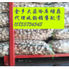 蒜薹，大蒜，洋蔥冷庫(kù)儲(chǔ)存預(yù)定了