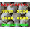 誠信代辦--加工--冷藏杞縣大蒜(混級蒜、印尼蒜、扒米蒜）