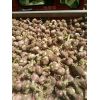 大蒜，洋蔥。蒜苔。香菜，基地