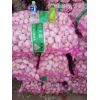 河南杞縣大蒜，品質(zhì)好，價(jià)格低。