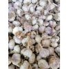 出售斑鳩店蒜黃蒜，蒜米料