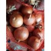 黃皮紅皮洋蔥長年供應(yīng)，代發(fā)全國市場