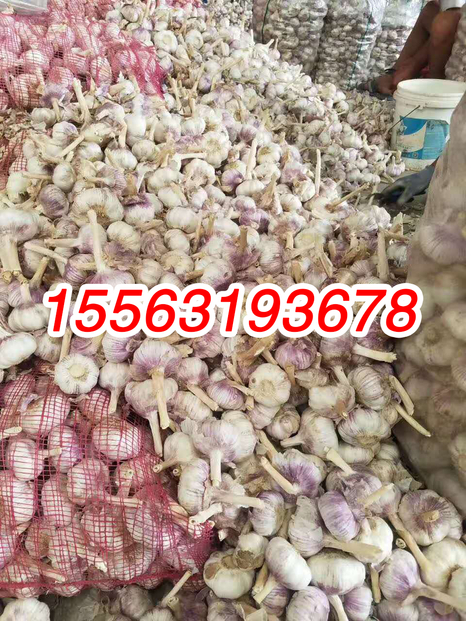 微信圖片_20200514144055