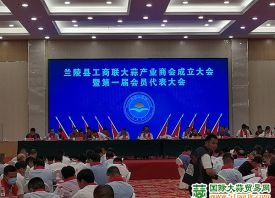 蘭陵縣工商聯(lián)大蒜產(chǎn)業(yè)商會成立 ()