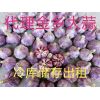 金鄉(xiāng)大蒜 代購(gòu)銷(xiāo) 冷庫(kù)儲(chǔ)存出租