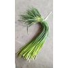 冷庫預(yù)定中，代收金鄉(xiāng)蒜苔
