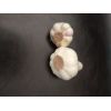 江蘇射陽(yáng)白皮苔蒜價(jià)格
