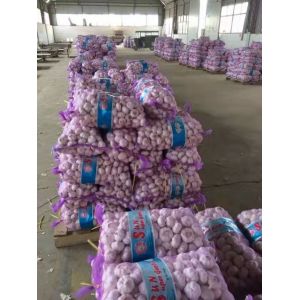 本人需要采購(gòu)2000噸大蒜，希望你能給我最優(yōu)惠的價(jià)格，謝謝