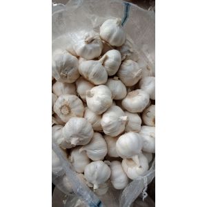 代購代銷供應儲存金鄉(xiāng)大蒜