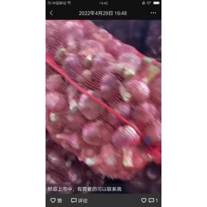 晚熟蒜大量上市，需要曬蒜老板抓緊入手，價格便宜