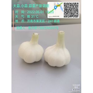 長(zhǎng)期經(jīng)營(yíng)雜交蒜、脫水蒜、四六瓣蒜