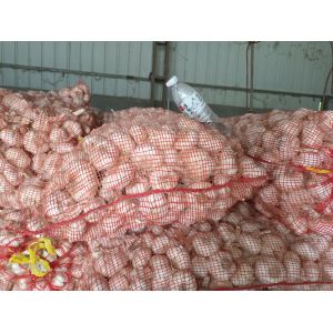 出售白蒜中混跡22噸左右，價格美麗