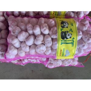 專業(yè)出口大蒜，加工大蒜