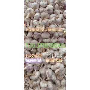 庫內(nèi)大混級、高際印呢大量出售
