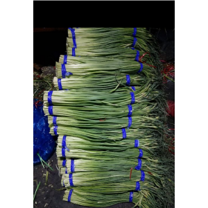 金鄉(xiāng)大蒜蒜苔，產(chǎn)地直銷代發(fā)全國市場，支持各種包裝