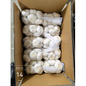 專業(yè)出口大蒜，加工大蒜