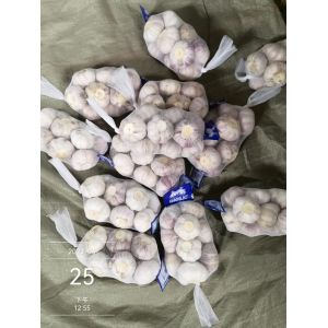 專業(yè)出口大蒜，加工大蒜