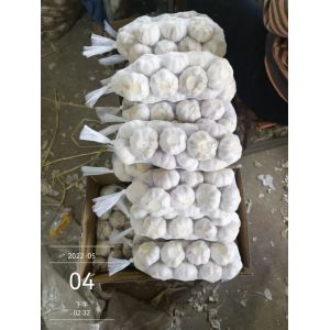 供應(yīng)出口大蒜，超市大蒜