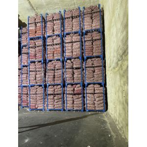 專業(yè)儲存金鄉(xiāng)大蒜冷庫出租、提供配資