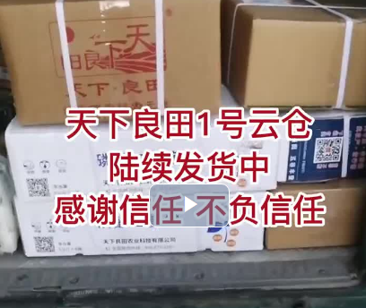 天下良田1號云倉陸續(xù)發(fā)貨中，感謝新人，不負信任 (998播放)